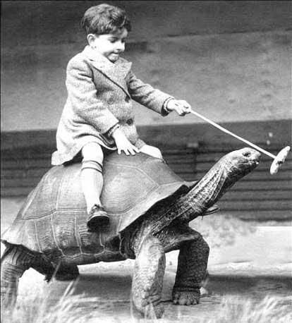 Giddy up, boy! | Weird old photos, Vintage humor, Vintage photos