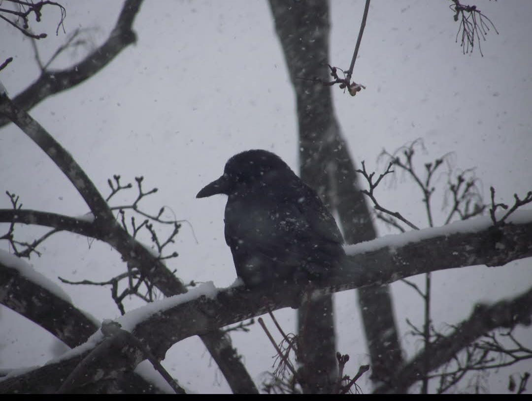 Tales from Far Beyond