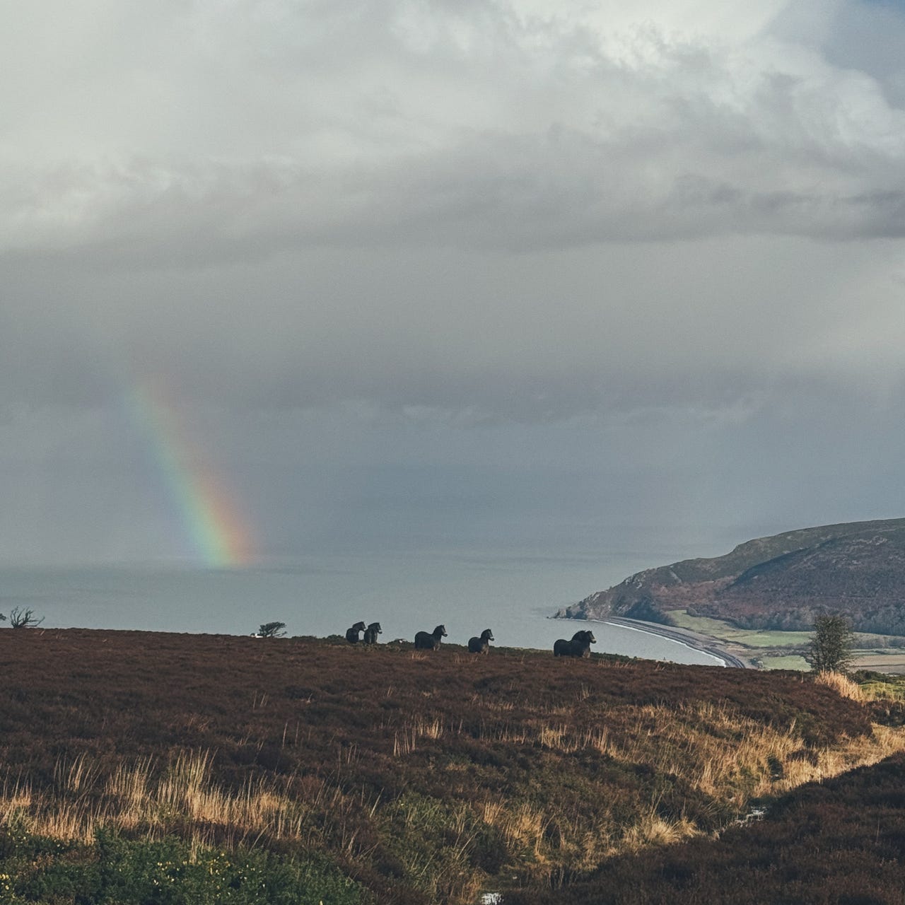 Moors & Mountains