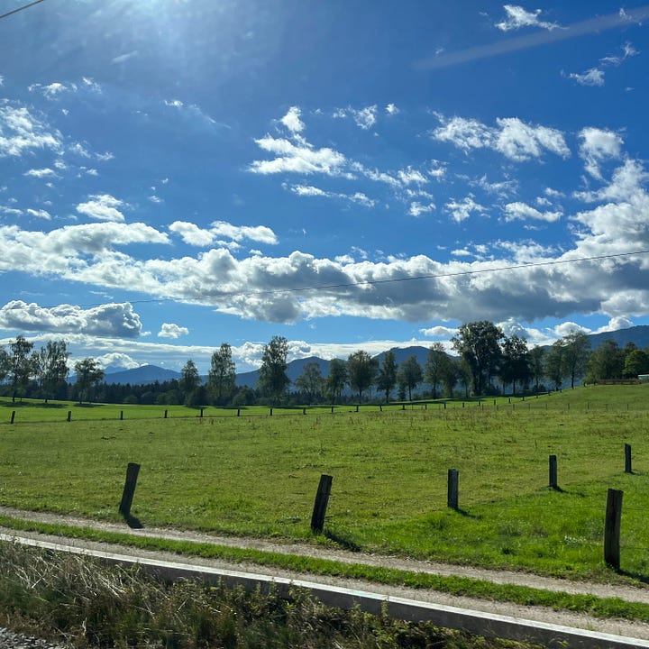 Photos taken out of a train carriage looking at summer Bavarian landscape