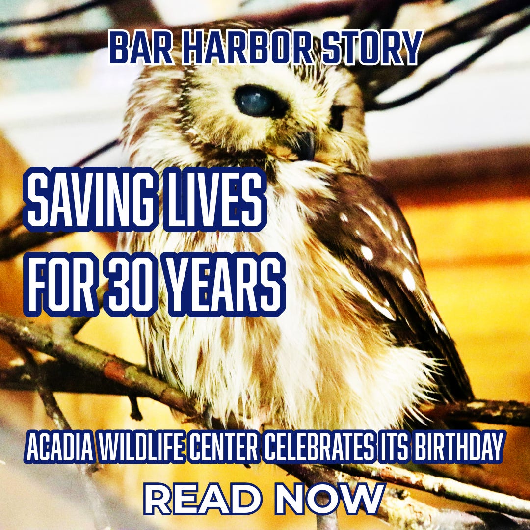 The co-owner of Chicago's Sidetrack gay bar is bidding to open up a gay bar  in Chicago's O'Hare airport, which would be the first airport gay bar in  the US 🌈 What, image size:1080x1080