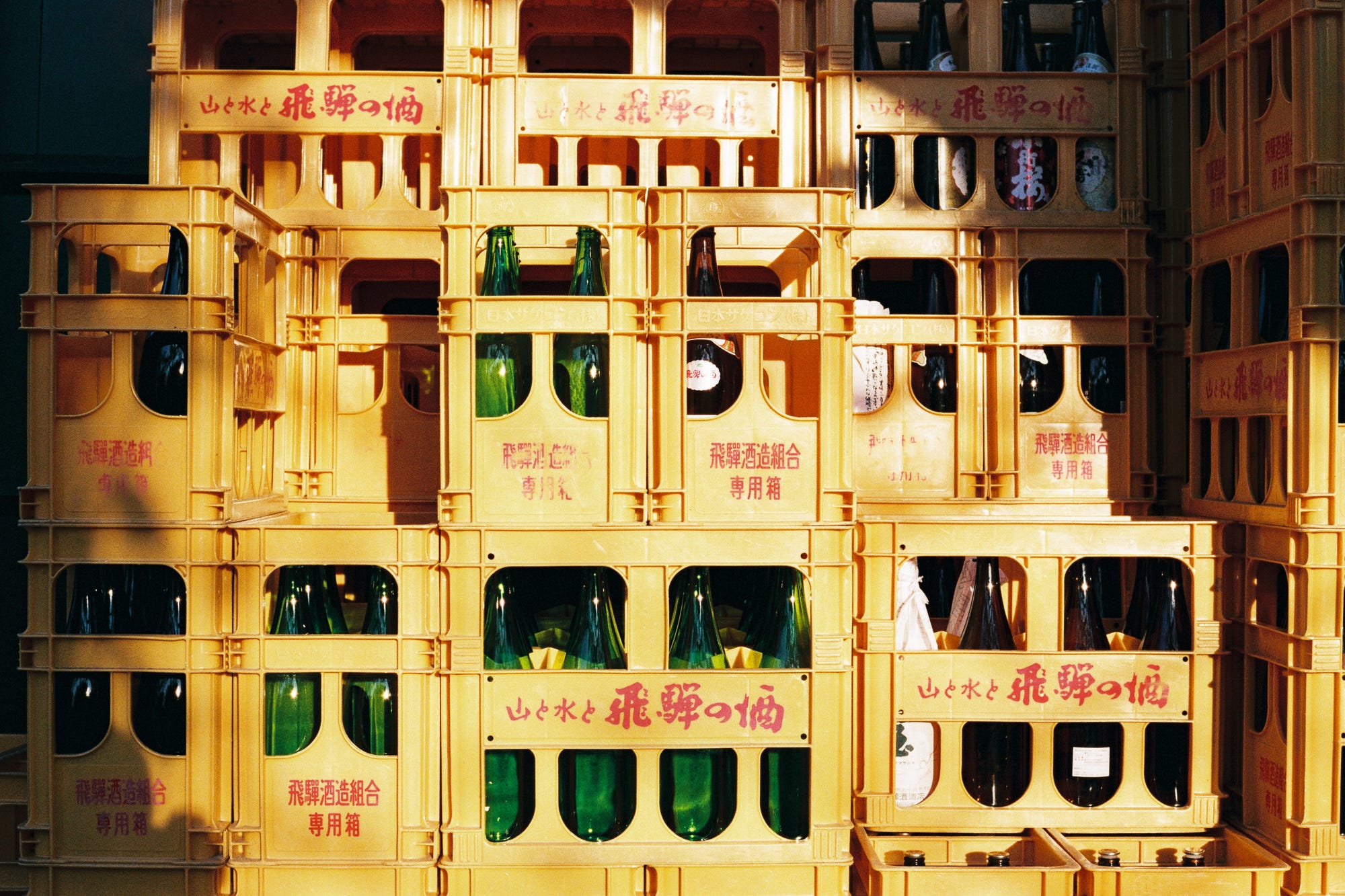 Fujicolor 100 Review - by Matt Murray - Matt Loves Cameras