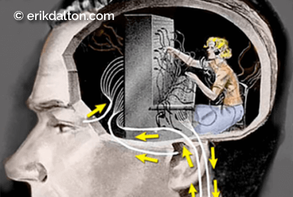 Cranial Teleceptors & Neck Spasm - Erik Dalton Blog