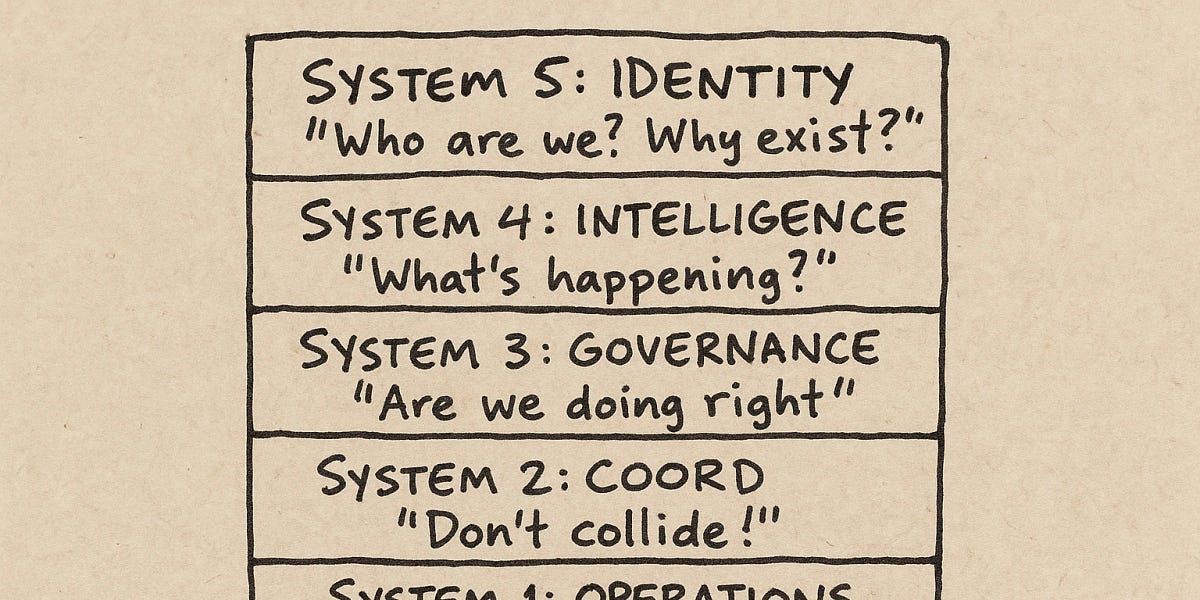 The System Inside the System