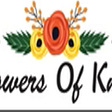 Flowers of Knox's avatar