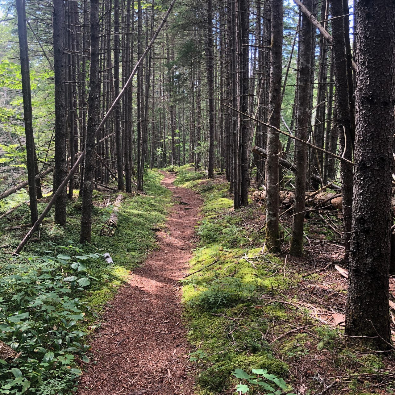 "An Unexpected Difficulty"