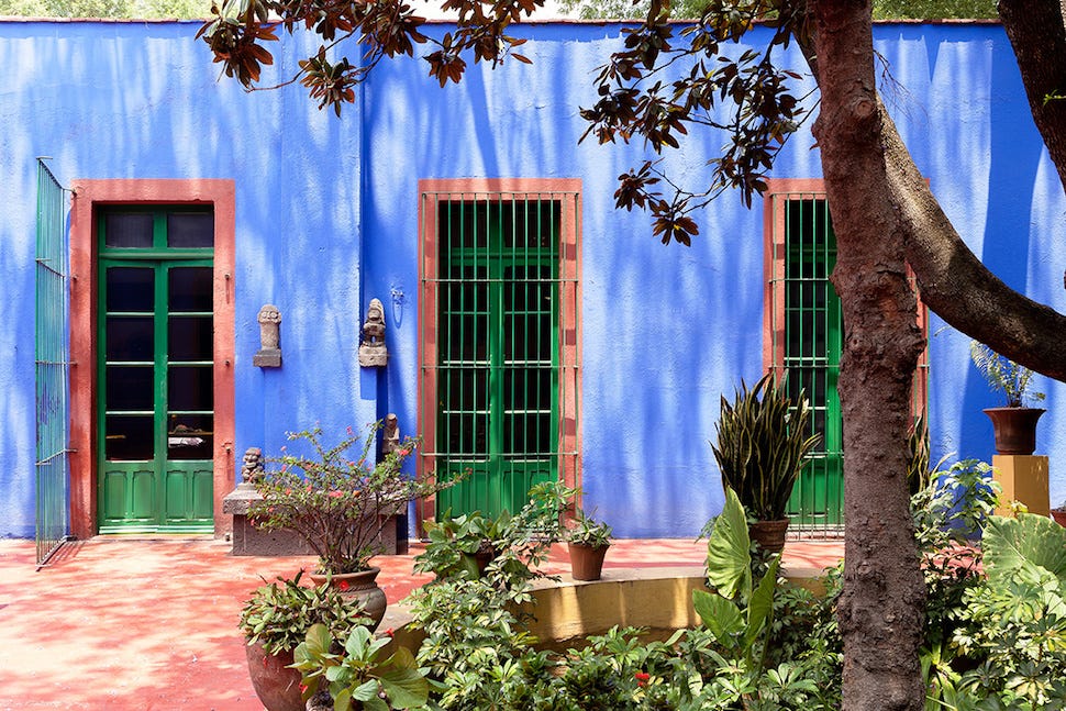 Blue courtyard house with plants Blue courtyard house with plants