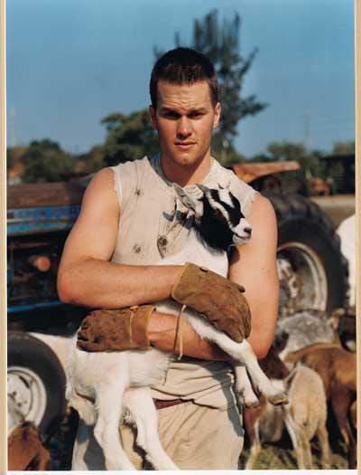 The goat
