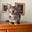Mimi und Meow's avatar