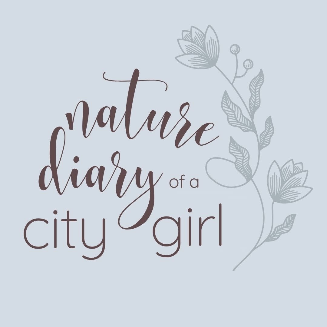 Nature Diary of a City Girl