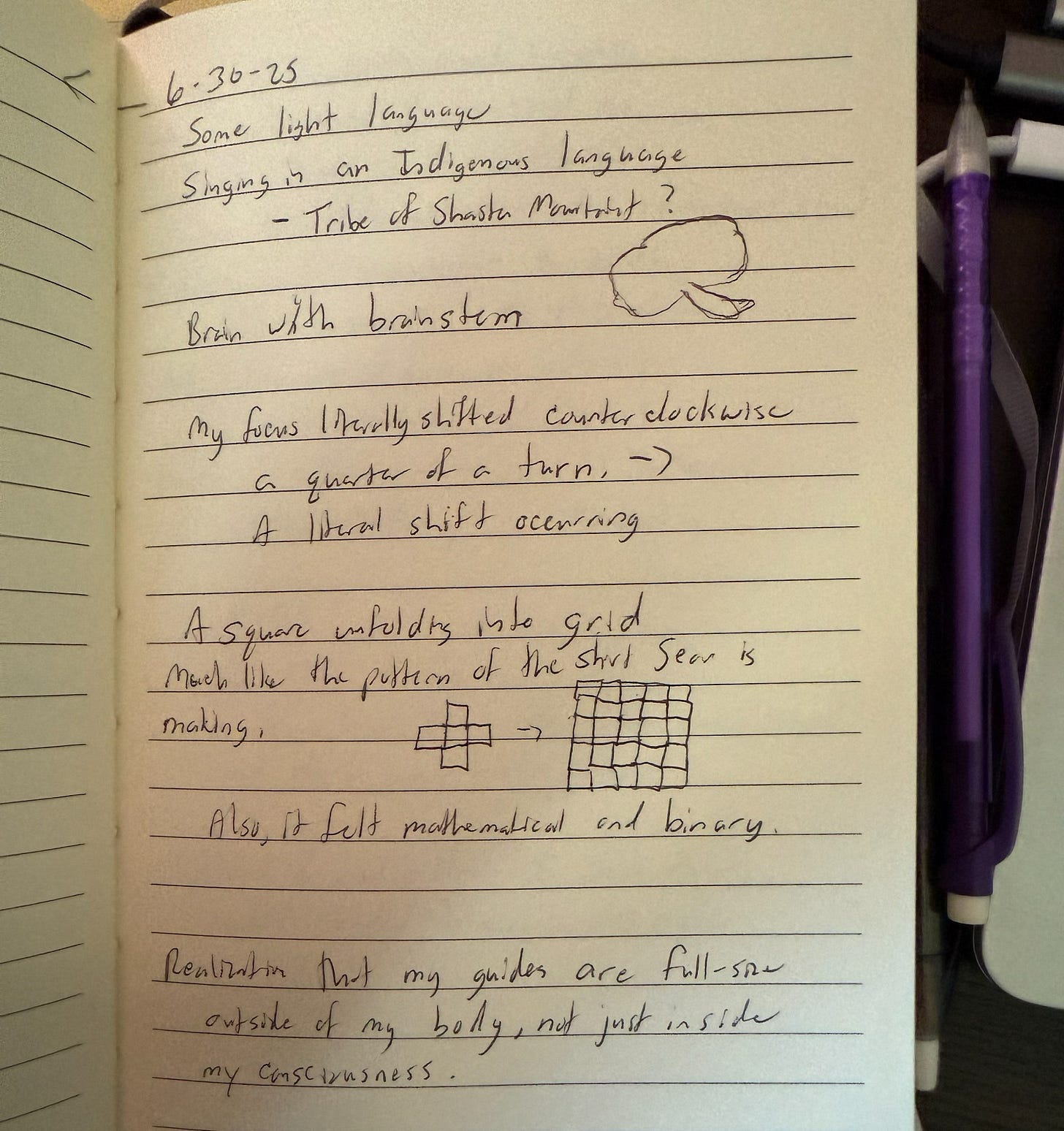 Photo of Merdhin Wylde’s journal page with handwritten notes and small sketches of a brain and an unfolding grid.