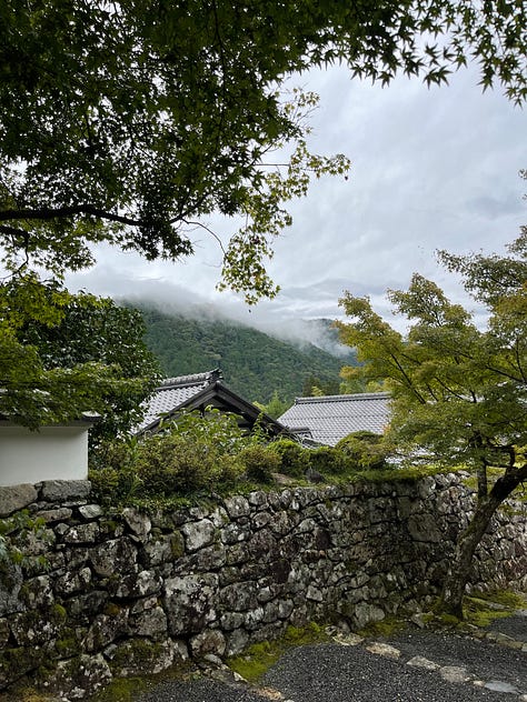 A collage of nine photos from Japan: a man in traditional kimono performing a tea ceremony; a tray of delicate kaiseki dishes with seasonal ingredients; a serene temple garden surrounded by moss and trees; a tatami room with sliding shoji doors; a mountain view with Mount Fuji in the distance; a bowl of Japanese dessert with green grapes and jelly; a Shinto wedding procession under a red umbrella; a moss-covered stone Buddha statue in a forest; and misty temple grounds framed by lush greenery.