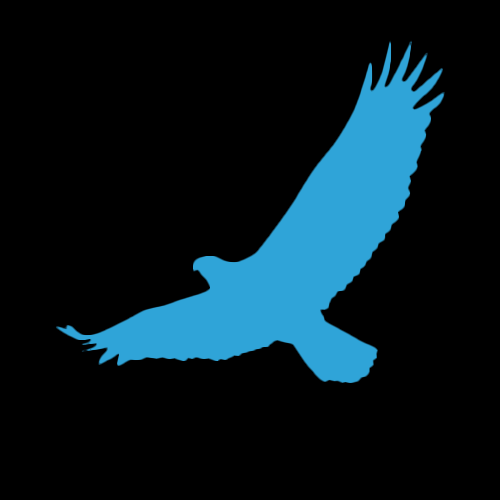 The Way of Flow logo