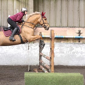 Competitors in top form at Connell Hill Indoor Training Show