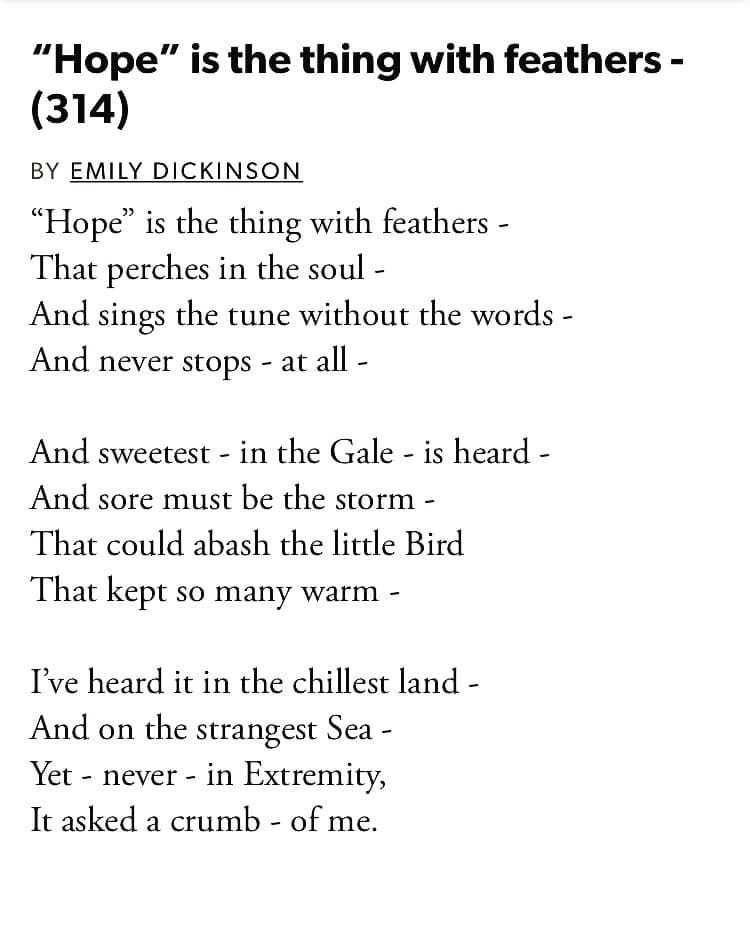 Hope' is the thing with feathers” – Rare Byrd Review