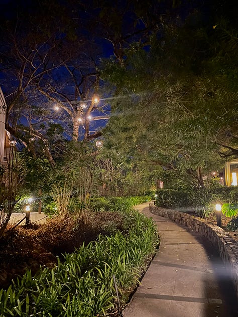 Images from my trip to Costa Rica: coffee on the terrace, relaxing by the pool, going for a night walk.