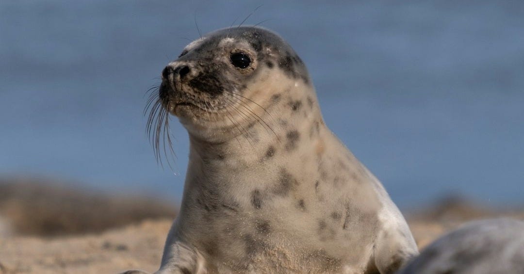 Les 7 Bonnes Nouvelles du Vendredi 24 Octobre 2025 Les 7 Bonnes Nouvelles du Vendredi 24 Octobre 2025