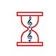 The Hourglass ⌛🎶