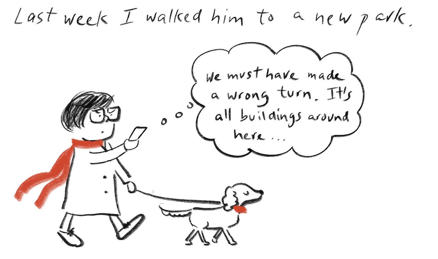"Last week I walked him to a new park" Candy staring at mobile as she walks well behaved dog. Thought bubble: We must have got it wrong. This place is full of buildings"