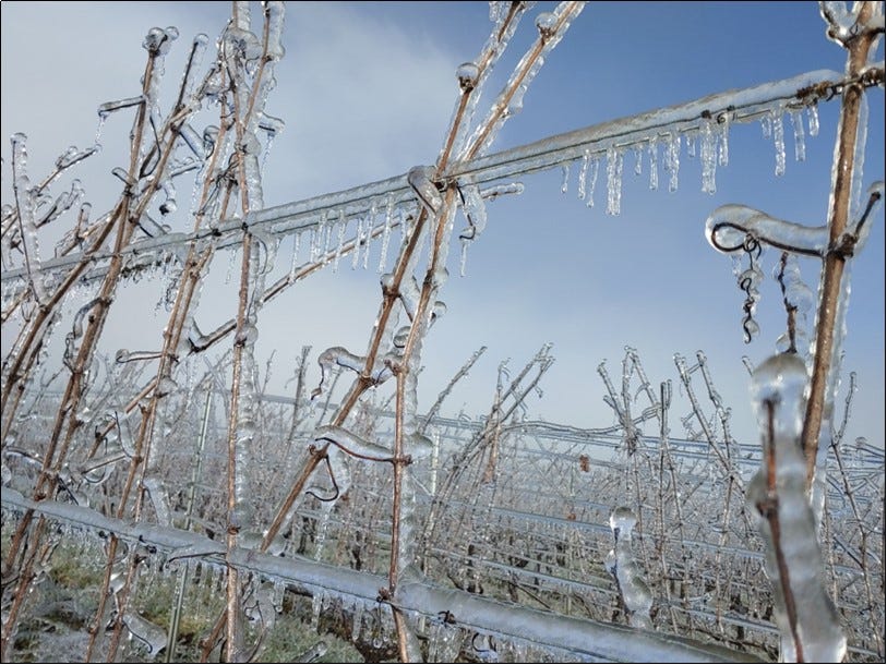 Wintertime in Willamette Valley Wine Country.