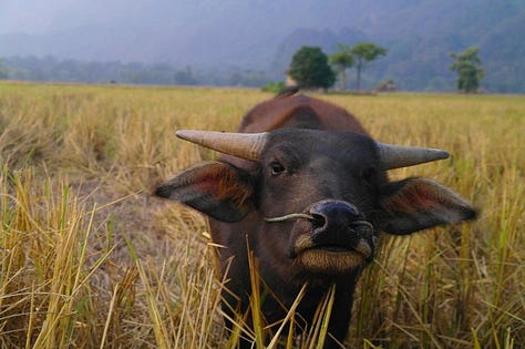 Thakhek loop in Laos
