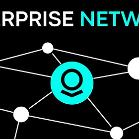 PLTR: The Biggest Networks Start Small