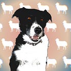 They say inside you are two wolves. But not me. I just have a sheepdog.