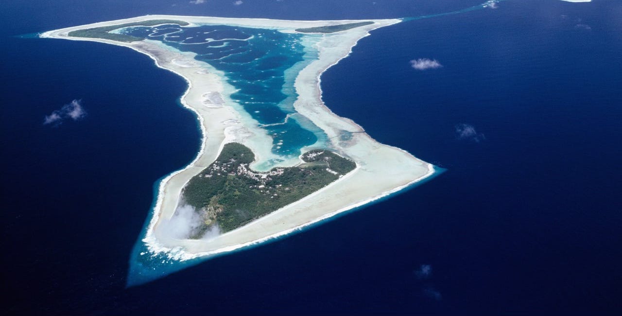 The Weekly Five - 41