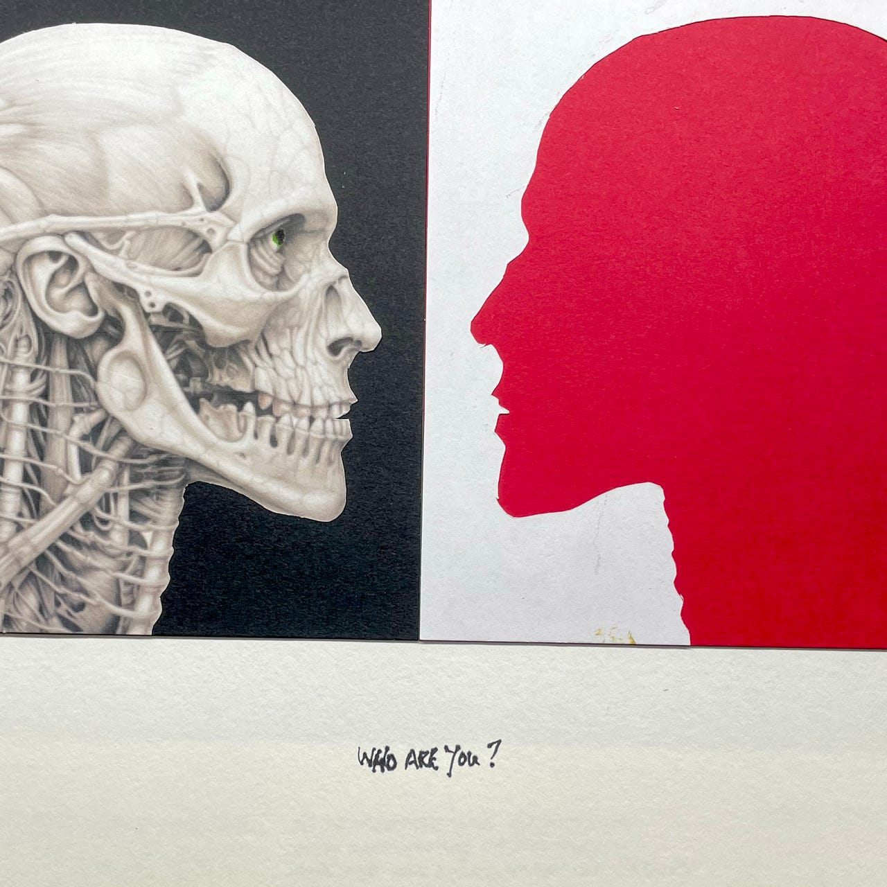 Stevies Dementing Diaries