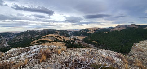 A nine-image gallery grid. Top row, left to right: geraniums and other flowers in a yard, a view of hills from the top of a ridge, a rainbow in a neighborhood. Middle row, left to right: Potted plants on a backyard patio, looking through trees to a river and a small village on the far side of the river, an abundant backyard garden. Bottom row, left to right: a chipmunk perched on the edge of a large metal dog bowl, getting a drink, graffiti on a train car, two magpies on a wire fence.