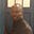 Thaddeus Howze's avatar