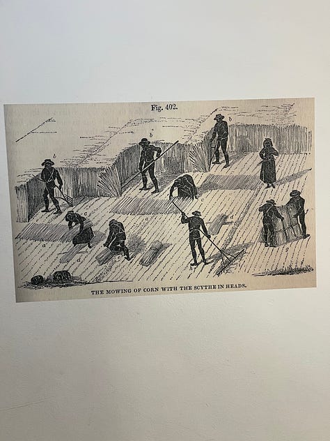 1-2. Literary artefacts showing commercial Scotland food growing methods, Silent Spring and The Living Soil; 3. Illustration from Book of the Farm, 1870s depicting scything.