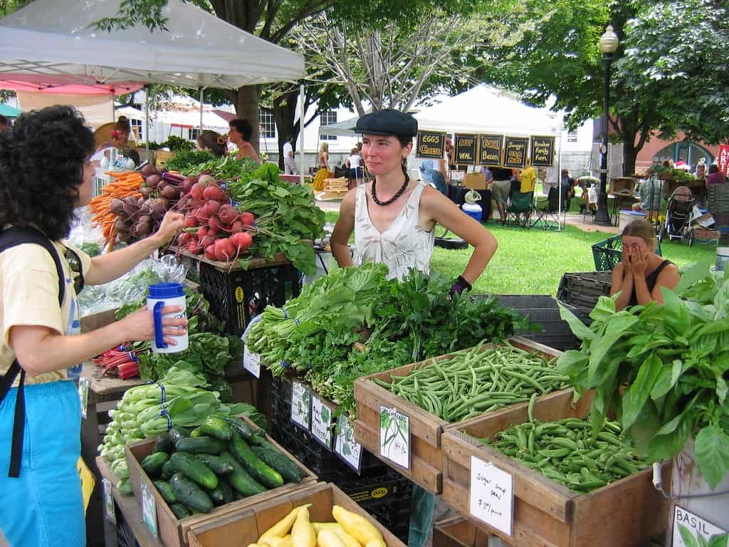 Burlington Farmers Market | Vermont.com