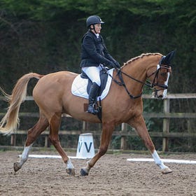 Sun shines on dressage riders at Connell Hill