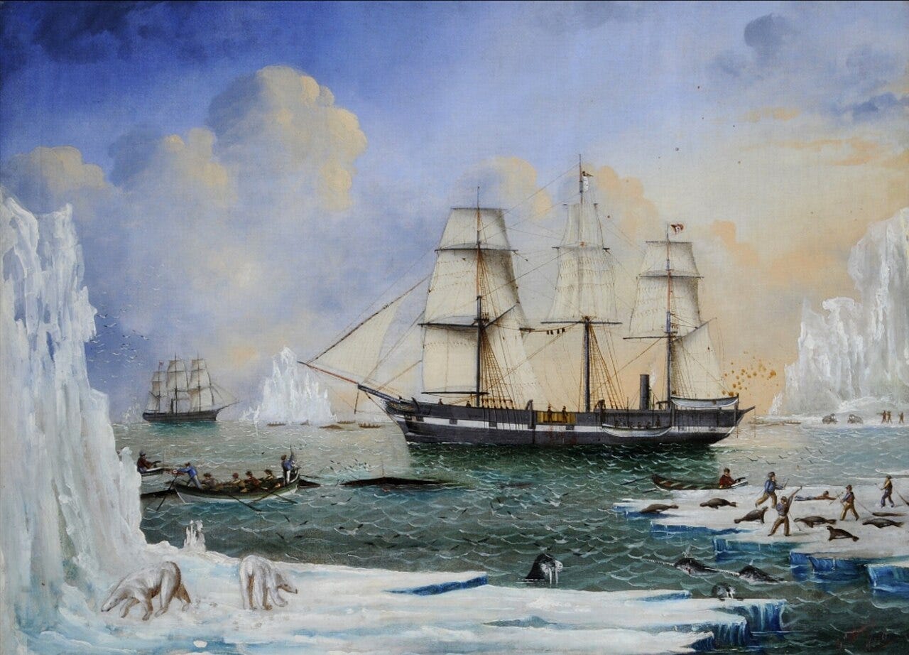 Polar bears among the wreck of a ship Polar bears among the wreck of a ship