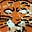 Graeme Outerbridge's avatar