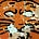 Graeme Outerbridge's avatar