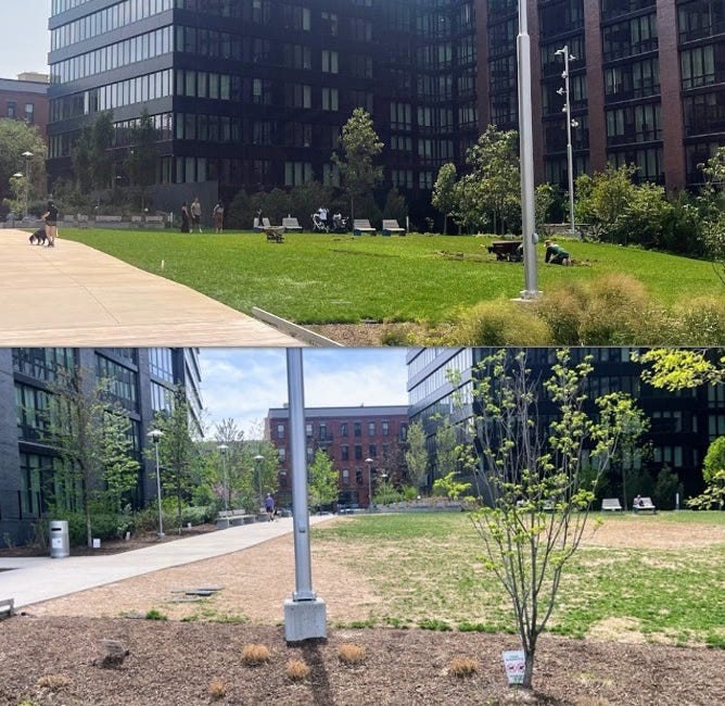 After Less Than One Year, "Pacific Park" Has Faced Significant Wear 