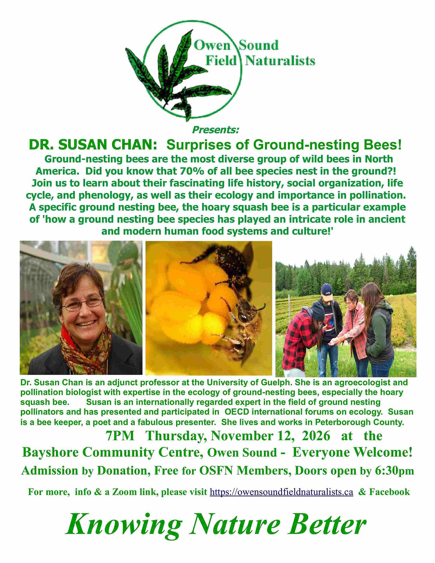 Bee Post Example Pollination Biologist Susan Chan to Speak on Ground-Nesting Bees in ...