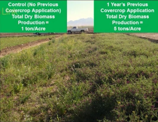 Screenshot 2021-07-19 at 11.18.21 Screenshot 2021-07-19 at 11.18.21