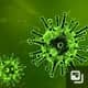 Lyons-Weiler: The Moratorium on Pathogenic Virus Gain-of-Function Research Must be Reinstated. HHS Commission Oversight Committee Proposed.