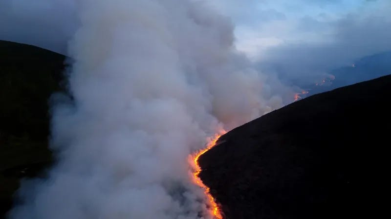 The wildfire in the Cairngorms National Park has burned over 2,500 hectares (6,177 acres) since 15 July.