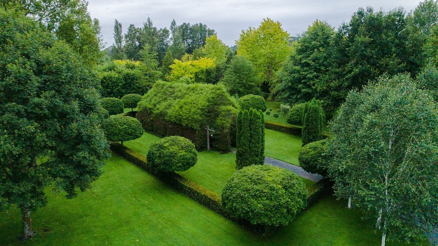 tree church4.jpg