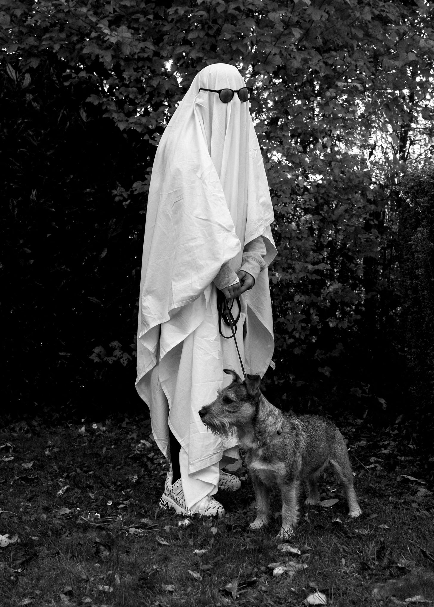 A person dressed as a ghost in a white sheet with sunglasses. They are outside and are holding the leash of a small dog. 