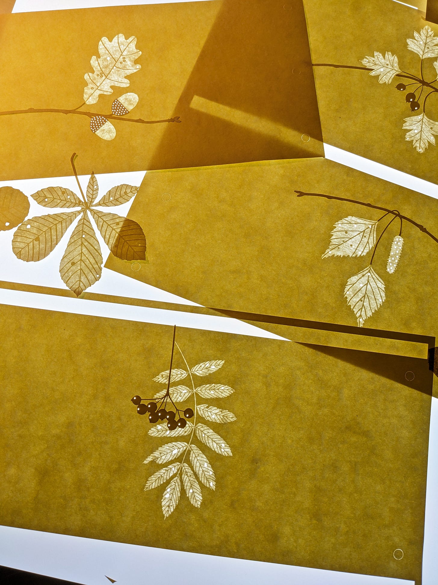 hannah nunn laser engraved leaf designs on the light box in the studio