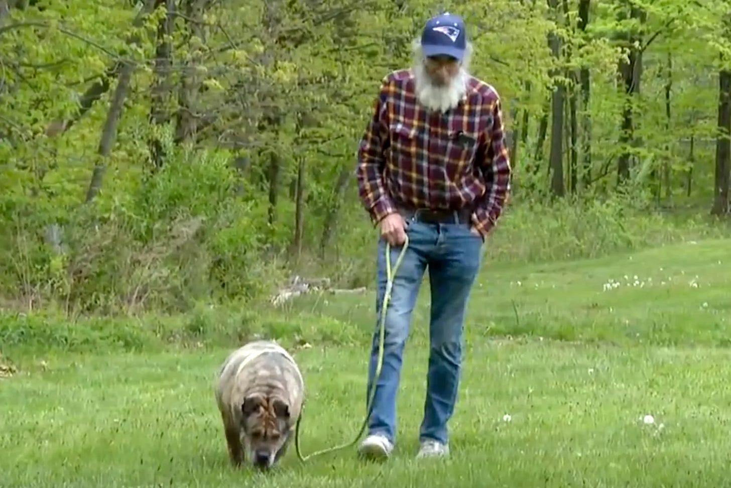 Massachusetts Man Dying of Cancer Looks to Find New Home for Canine Best Friend