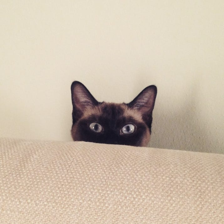 Spiccioli per il filobus