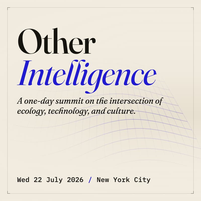 Other Intelligence