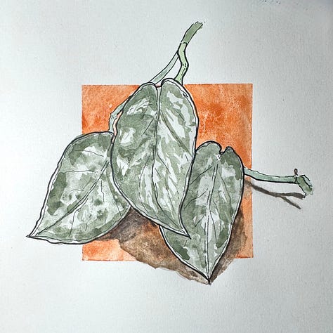 Black pen outline drawings painted with water colour.