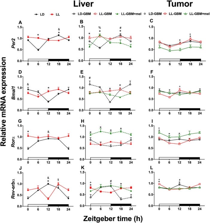 Constant light and glioblastoma modify the circadian rhythm pattern of hepatic and tumoral clock genes. Cardenas-Romero S, et al. Melatonin Prevents Tumor Growth: The Role of Genes Controlling the Circadian Clock, the Cell Cycle, and Angiogenesis. J Pineal Res. 2025.